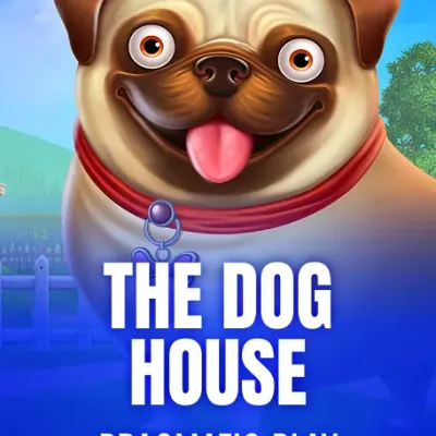 The Dog House